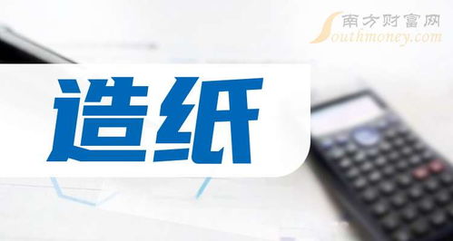 2025年中小板造紙及互聯(lián)網(wǎng)信息服務(wù)上市公司概覽